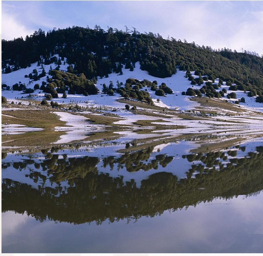 Ifrane Chalet Bagian luar foto